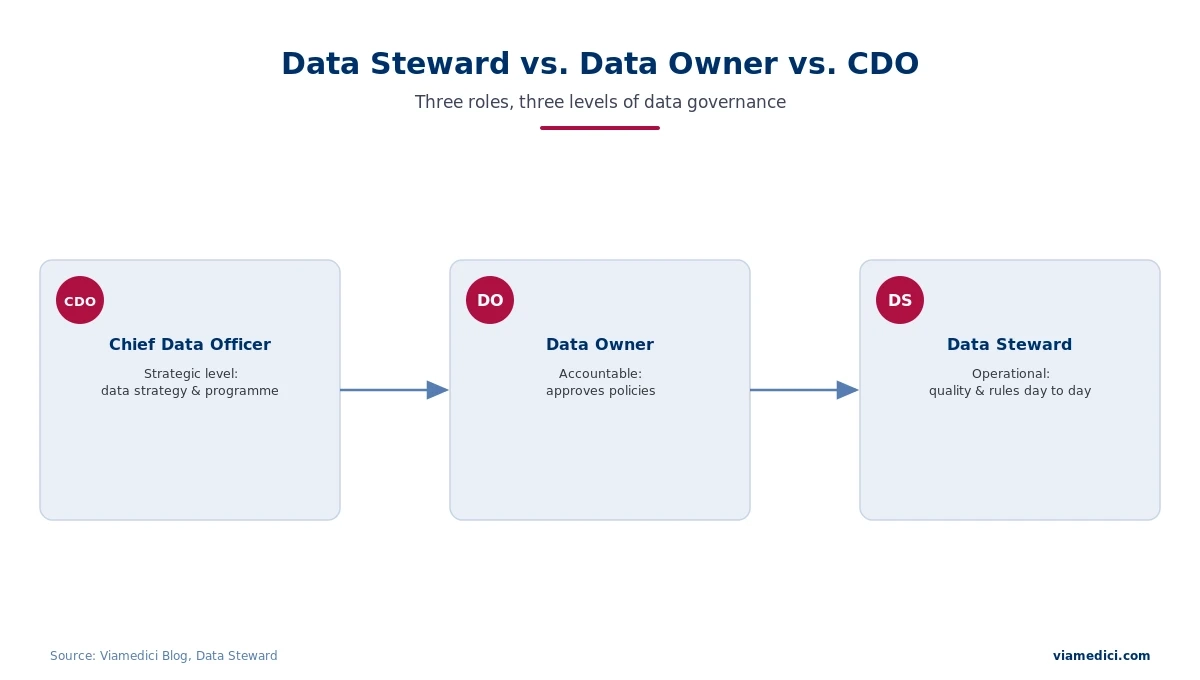 data-steward-vs-owner-vs-cdo-en